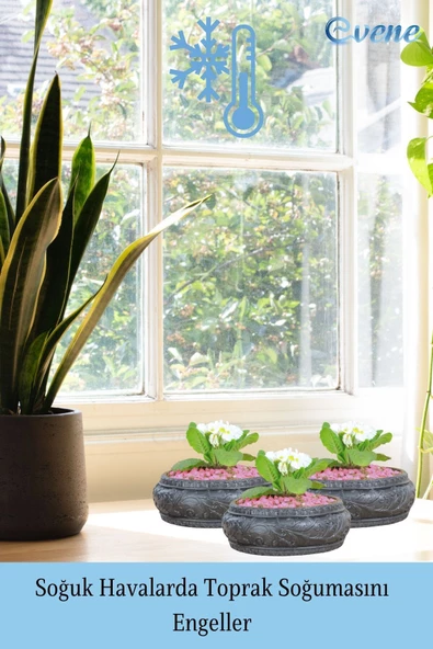 Evene Saksı Büyük Saksı Çiçek Saksısı Büyük Boy Saksı Salon Saksısı Model 5 Siyah Saksı - Resim 5