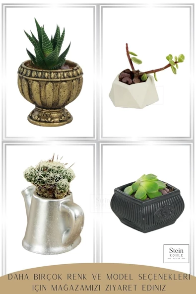 Stein Kohle Dekoratif Saksı Minik Kaktüs Saksısı Altın Eskitme Renk 3 Adet Saksı Seti Antika Model - Resim 4