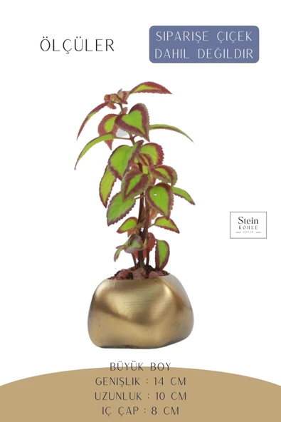 Stein Kohle Çiçek Saksısı Büyük Boy 1 Adet Altın Renk Eskitme Uygulamalı Spiral Oval Model - 2