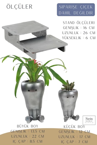 Stein Kohle Ayaklı Saksı Ahşap Büyük Boy 2 Adet Gümüş Renk Eskitme Uygulamalı Havuç Model - Resim 2