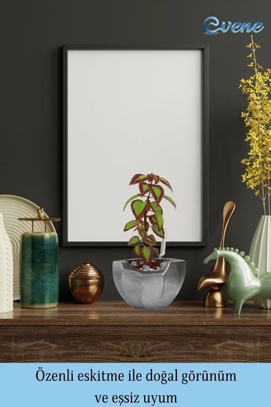 Evene Saksı Çiçek Kaktüs Saksısı Lüx 15 Cm Gümüş Eskitme Varak Boyalı Önü Açık Desenli 3'lü Set Çiçeklik - 8