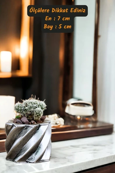 Viselia Kaktüs Saksısı Sukulent El Yapımı Saksı Balkon Çiçek Saksısı Ev Saksısı Saksı Model 9 Gümüş - Resim 3