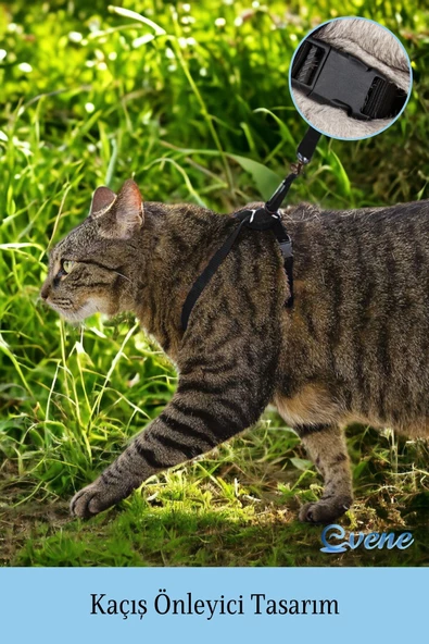 Evene Kedi Tasması Kedi Göğüs Bel Ayarlanabilir Dayanıklı Sağlam Tasma 1 cm İnce Kolon Siyah - Resim 2