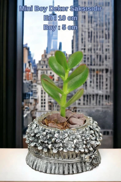 Kaktüs Saksı Dünyası El Yapımı Saksı Gümüş Eskitme Dekoratif Saksı Küçük Boy Model 3 - Resim 2