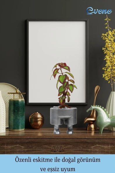 Evene Saksı Çiçek Kaktüs Saksısı Lüx 13 Cm Gümüş Eskitme Varak Boyalı Pantolon Desenli 3'lü Set Çiçeklik - 8