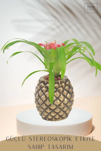 Stein Kohle Çiçek Saksısı Büyük Boy 2 Adet Altın Renk Eskitme Uygulamalı Ananas Model - Resim 4