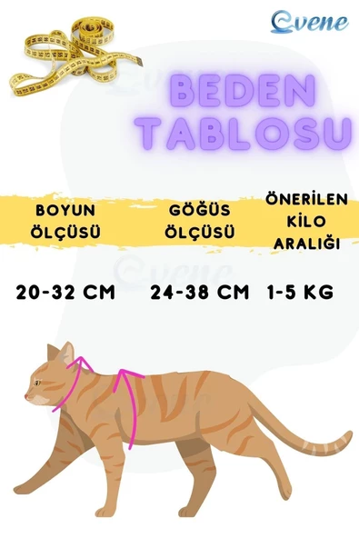 Evene Kedi Tasması Kedi Göğüs Bel Ayarlanabilir Dayanıklı Sağlam Tasma Mor - Resim 7