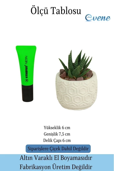 Evene Mini Çiçek Saksı Küçük Sukulent Beyaz Kaktüs Saksısı Altıgen Desenli Model - Resim 2