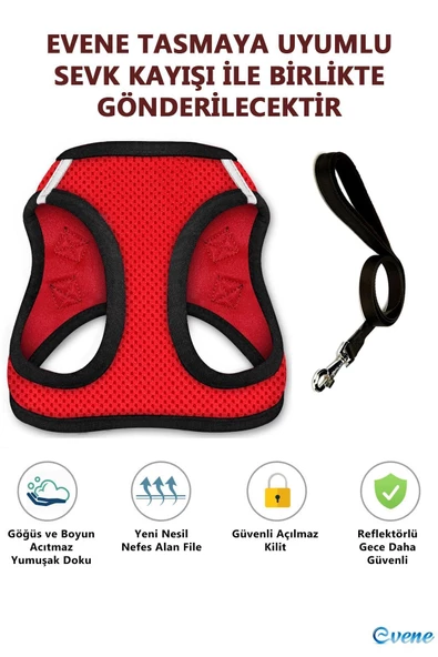 Evene Kırmızı Kedi Tasması M Beden Göğüs Boyun Tasma Seti Sevk Kayışlı Terletmeyen Nefes Alan Kumaş Reflek - Resim 5
