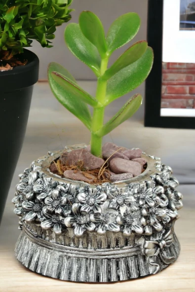 Kaktüs Saksı Dünyası El Yapımı Saksı Gümüş Eskitme Dekoratif Saksı Küçük Boy Model 3 ürün görseli 1