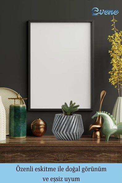 Evene Saksı Çiçek Kaktüs Saksısı Lüx 15 Cm Gümüş Eskitme Varak Mekanik Dişli Desen Saksı 2li Set Çiçeklik - Resim 8