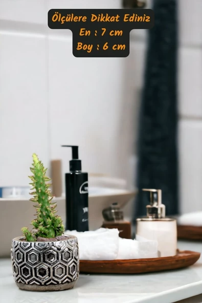 Viselia Kaktüs Saksısı Sukulent El Yapımı Saksı Balkon Çiçek Saksısı Ev Saksısı Saksı Model 2 Gümüş - 3