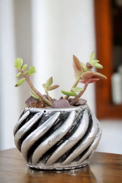 Viselia Kaktüs Saksısı Sukulent El Yapımı Saksı Balkon Çiçek Saksısı Ev Saksısı Saksı Model 4 Gümüş ürün görseli 1