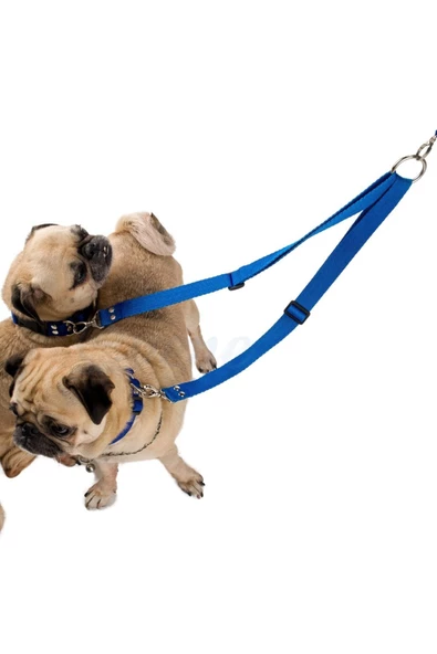 Evene Kedi Gezdirme Tasması Kedi Gezdirme Ipi Çiftli Tasma Model 9 Mavi ürün görseli