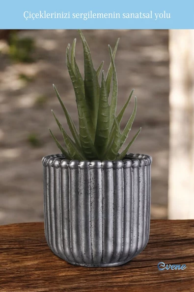 Evene Mini Çiçek Saksı Küçük Sukulent Gümüş Eskitme Kaktüs Saksısı Vintage Düz Çizgili Model - Resim 3