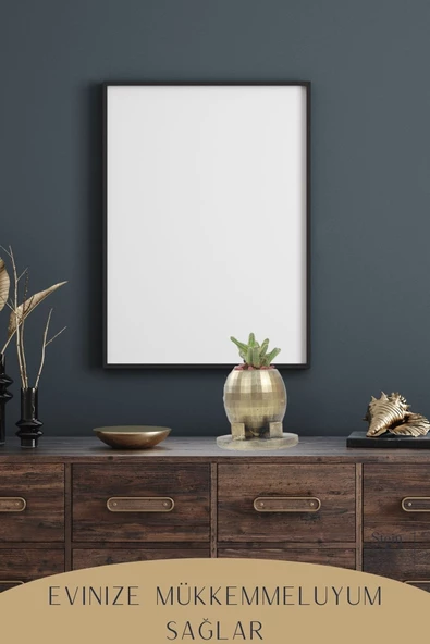 Stein Kohle Çiçek Saksısı Dekoratif Kaktüs Saksı 1 Adet Altın Renk Eskitme Uygulamalı Yuvarlak Ayaklı Model - Resim 6