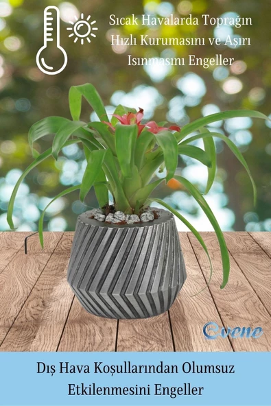 Evene Saksı Çiçek Kaktüs Saksısı Lüx 15 Cm Gümüş Eskitme Varak Mekanik Dişli Desen Saksı 2li Set Çiçeklik - Resim 6