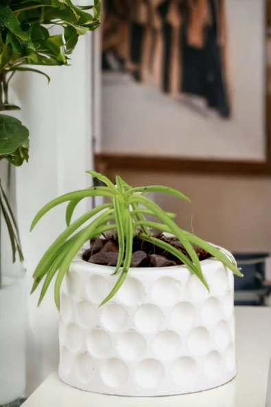 Viselia Kaktüs Saksısı Sukulent El Yapımı Saksı Balkon Çiçek Saksısı Ev Saksısı Saksı Model 12 Beyaz ürün görseli 1