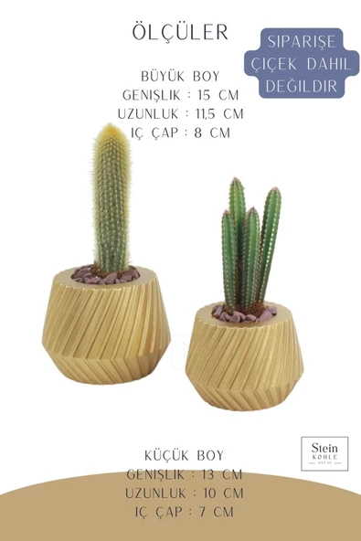 Stein Kohle Çiçek Saksısı Büyük Boy 2 Adet Altın Renk Uygulamalı Dişli Model - Resim 2