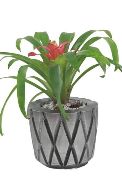 Stein Kohle Çiçek Saksısı Büyük Boy 1 Adet Gümüş Renk Eskitme Uygulamalı Baklava Model ürün görseli 1