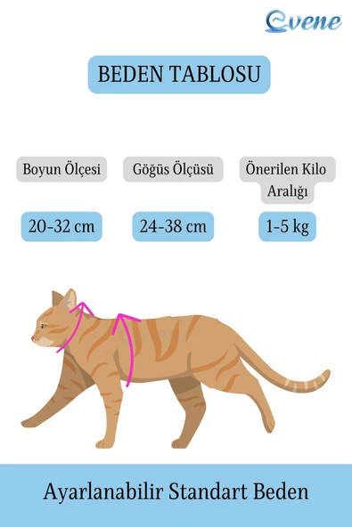 Evene Kedi Tasması Kedi Göğüs Bel Ayarlanabilir Dayanıklı Sağlam Tasma 1 cm İnce Kolon Siyah - Resim 7
