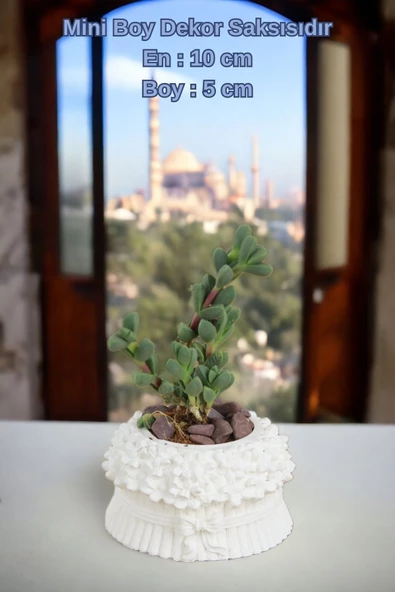 Kaktüs Saksı Dünyası El Yapımı Saksı Beyaz Dekoratif Saksı Küçük Boy Model 3 - Resim 2