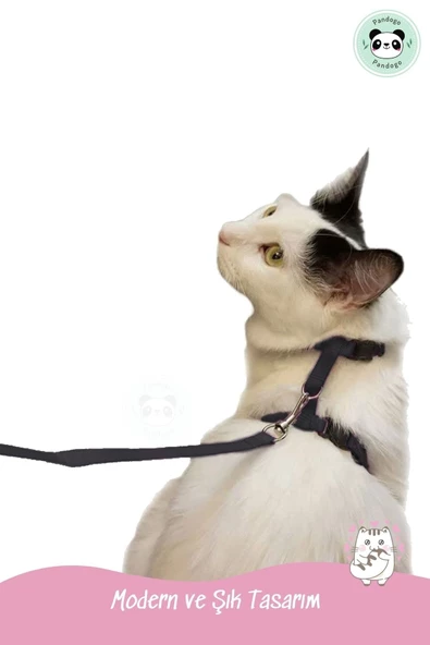 Pandogo Kedi Köpek Tasması Ayarlanabilir Bedenli Kaçış Önleyici Tasarım Sevk Kayışlı Dubai Model Siyah - Resim 7