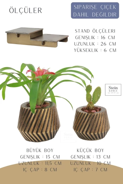 Stein Kohle Ayaklı Saksı Ahşap Büyük Boy 2 Adet Altın Renk Eskitme Uygulamalı Dişli Model - Resim 2