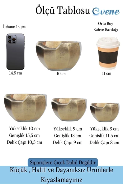 Evene Saksı Çiçek Kaktüs Saksısı Lüx 15 Cm Altın Eskitme Varak Boyalı Önü Açık Desenli 3'lü Set Çiçeklik - 2