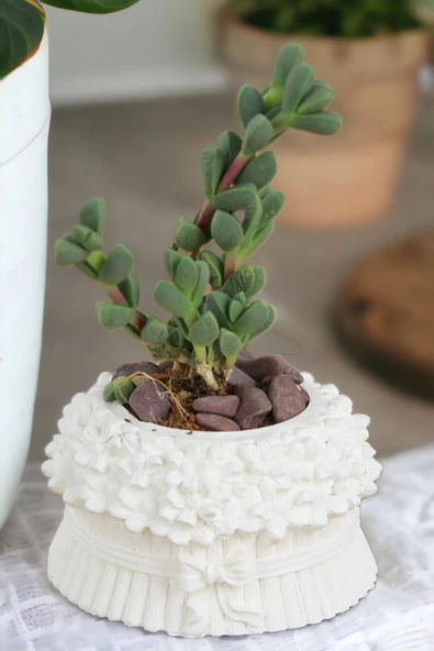 Kaktüs Saksı Dünyası El Yapımı Saksı Beyaz Dekoratif Saksı Küçük Boy Model 3 ürün görseli 1