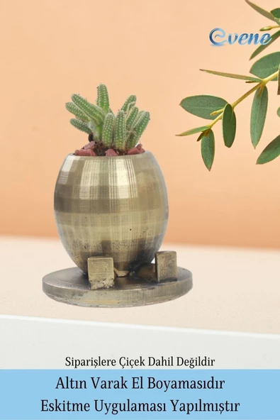 Evene Saksı Çiçek Kaktüs Saksısı Lüx 17 Cm Altın Eskitme Varak Boyalı Yuvarlak Ayaklı Saksı 2'li Çiçeklik - Resim 5