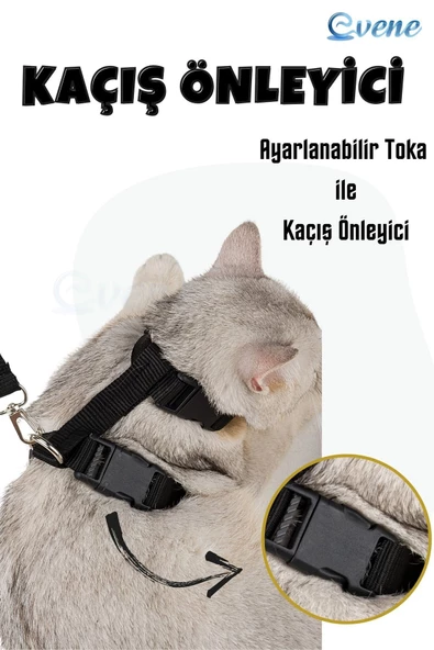 Evene Kedi Tasması Kedi Gögüs Bel Ayarlanabilir Tasma Siyah - 4