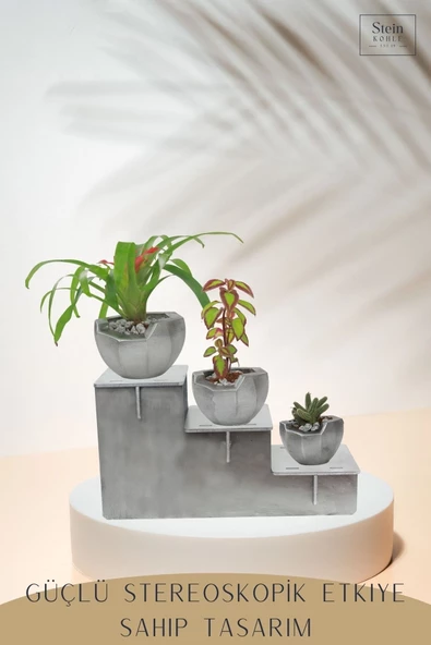 Stein Kohle Ayaklı Saksı Ahşap Büyük Boy 3 Adet Gümüş Renk Eskitme Uygulamalı Önü Açık Model - Resim 4