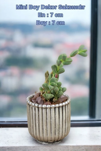 Kaktüs Saksı Dünyası El Yapımı Saksı Gümüş Eskitme Dekoratif Saksı Küçük Boy Model 30 - Resim 2
