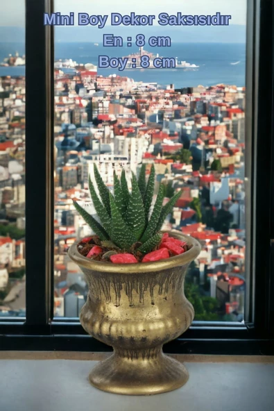 Kaktüs Saksı Dünyası El Yapımı Saksı Altın Eskitme Dekoratif Saksı Küçük Boy Model 33 - Resim 2