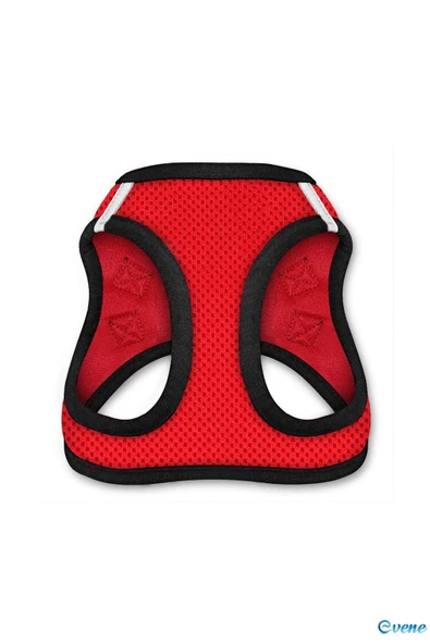 Evene Kedi Tasması Kayışlı Gezdirme Boyun Göğüs Tasması Reflektörlü Fileli Dayanıklı M Beden Kırmızı Renk ürün görseli 1