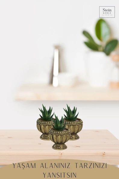 Stein Kohle Dekoratif Saksı Minik Kaktüs Saksısı Altın Eskitme Renk 3 Adet Saksı Seti Antika Model - Resim 3