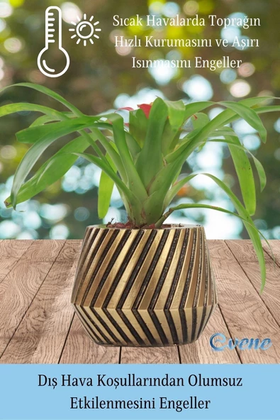 Evene Saksı Çiçek Kaktüs Saksısı Lüx 15 Cm Altın Eskitme Varak Boya Mekanik Dişli Desen Saksı 2li Çiçeklik - Resim 6