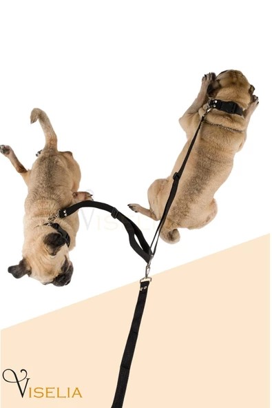 Viselia Köpek Tasması Çoklayıcı Çiftli Gezdirme Kayışı Premium Kalite Kopma Yapmaz Hafif Kolon Kumaş Siyah - 3