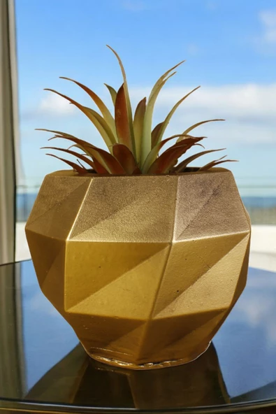 Stein Kohle Çiçek Saksısı Dekoratif Kaktüs Saksı 1 Adet Altın Eskitme Renk Uygulamalı Dönen Poly Model ürün görseli 1