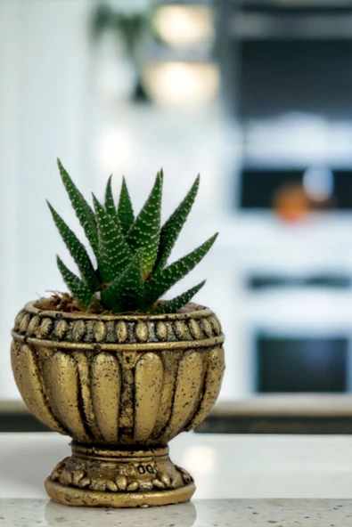 Viselia Kaktüs Saksısı Sukulent El Yapımı Saksı Balkon Çiçek Saksısı Ev Saksısı Saksı Model 17 Altın - Resim 4