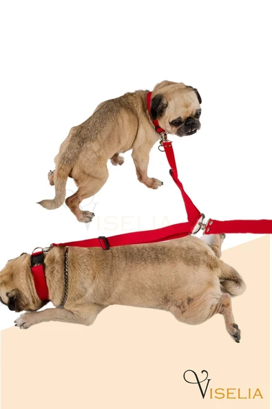 Viselia Köpek Tasması Çoklayıcı Çiftli Gezdirme Kayışı Premium Kalite Kopma Yapmaz Hafif Kolon Kumaş Kırmızı - 3