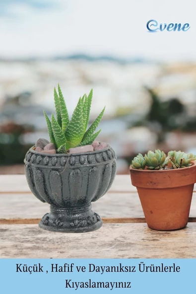 Evene Mini Çiçek Saksı Küçük Sukulent Siyah Kaktüs Saksısı Antika Model - Resim 3