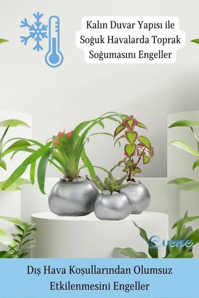 Evene Saksı Çiçek Kaktüs Saksısı Lüx 14 Cm Gümüş Eskitme Varak Boyalı Elips Desenli 3'lü Set Çiçeklik - 7