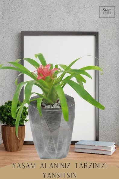 Stein Kohle Çiçek Saksısı Büyük Boy 1 Adet Gümüş Renk Eskitme Uygulamalı Uzun Poly Model - Resim 4