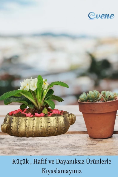 Evene Saksı Büyük Saksı Çiçek Saksısı Büyük Boy Saksı Salon Saksısı Model 3 Siyah Altın Saksı - Resim 3