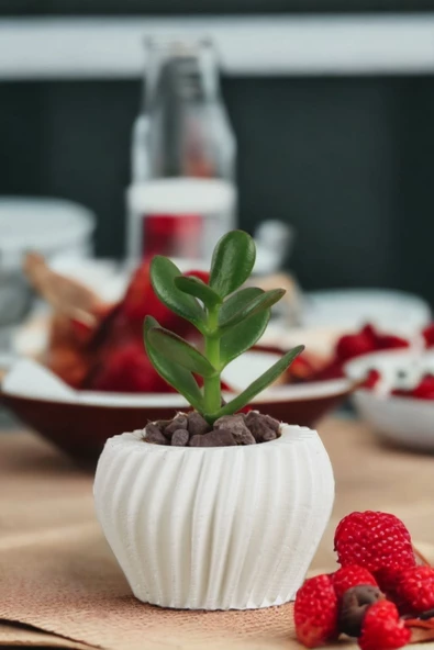 Viselia Kaktüs Saksısı Sukulent El Yapımı Saksı Balkon Çiçek Saksısı Ev Saksısı Saksı Model 13 Beyaz - Resim 6