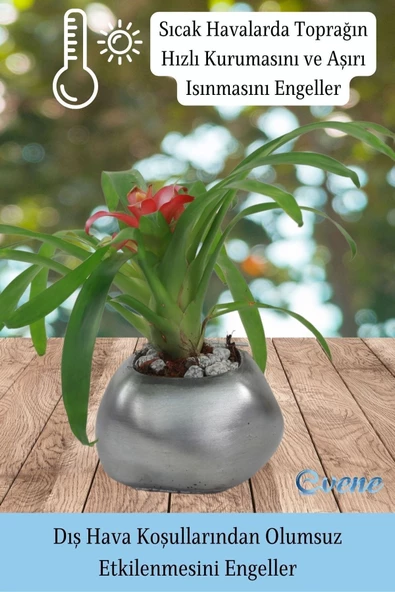 Evene Saksı Çiçek Kaktüs Saksısı Lüx 14 Cm Gümüş Eskitme Varak Boyalı Elips Desenli 3'lü Set Çiçeklik - 6
