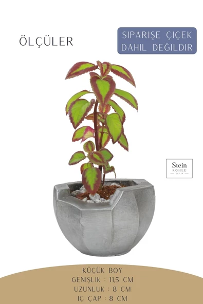 Stein Kohle Çiçek Saksısı Dekoratif Kaktüs Saksı 1 Adet Gümüş Renk Eskitme Uygulamalı Önü Açık Model - Resim 2