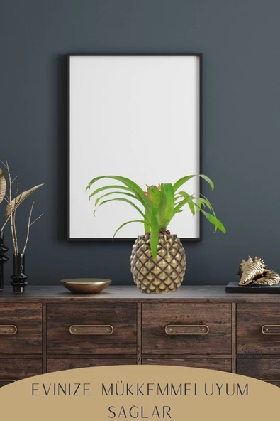 Stein Kohle Çiçek Saksısı Büyük Boy 2 Adet Altın Renk Eskitme Uygulamalı Ananas Model - Resim 6